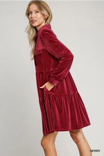 Berry Ribbed Velvet Button Down Dress