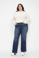 Plus Judy Blue Dark Tummy Control Classic Straight Jeans